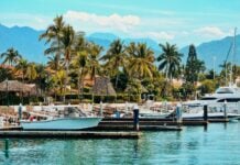 Puerto Vallarta tour boats at the dock
