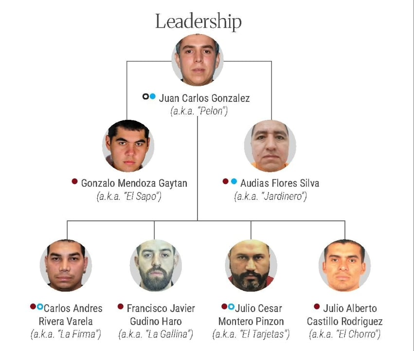 CJNG leadership structure