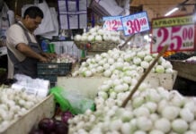 Price signs on a display of onions in a market