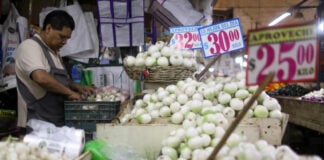 Price signs on a display of onions in a market