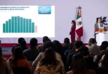 National Public Security System chief Marcela Figueroa reported that there was an average of 40.8 homicides per day in August, a reduction of 53% compared to September 2024