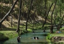 Kids in the water at the Agua Dulce swimming hole
