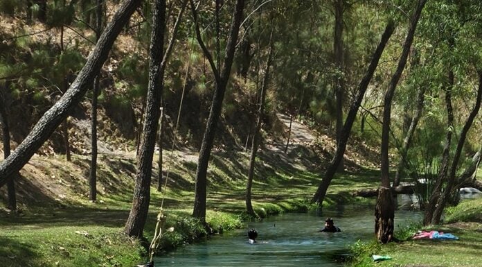 Kids in the water at the Agua Dulce swimming hole