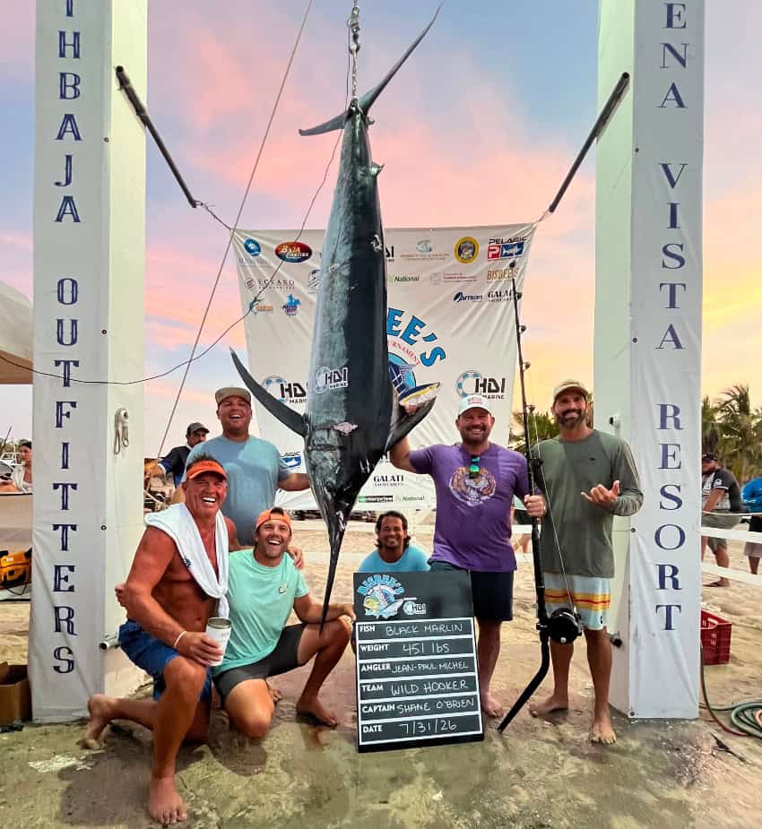 Marlin hanging from weighing station in Buenavista on the East Cape of Los Cabos during Bisbee's East Cape Offshore tournament.