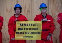 Greenpeace protest at Bellas Artes in Guadalajara