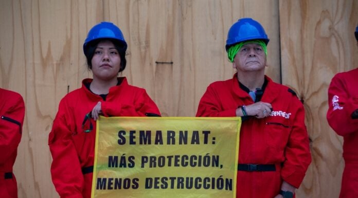 Greenpeace protest at Bellas Artes in Guadalajara