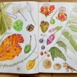 Sketch from Bel Woodhouse