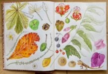 Sketch from Bel Woodhouse