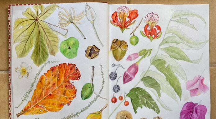 Sketch from Bel Woodhouse