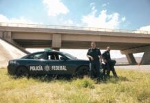 "Facing El Chapo" still