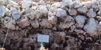 Maya apiary