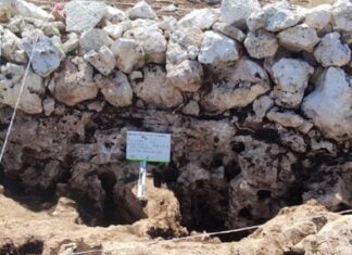 Maya apiary