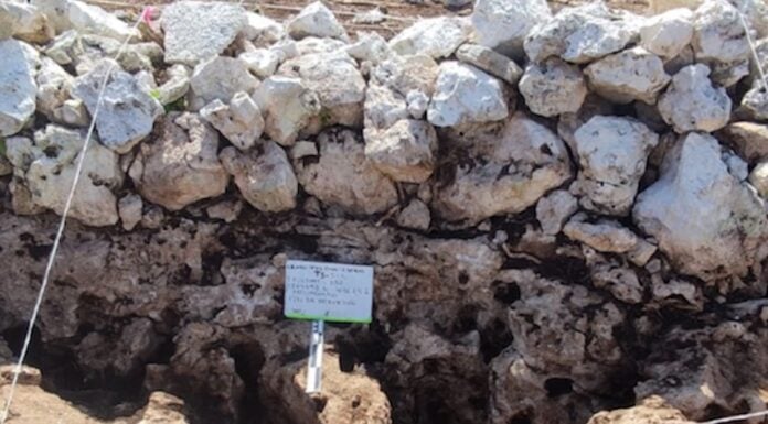Maya apiary