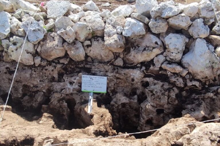Maya apiary near Tulum reveals roots of beekeeping traditions