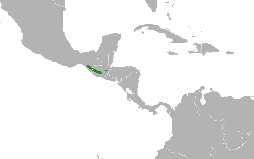 Range map for the horned guan