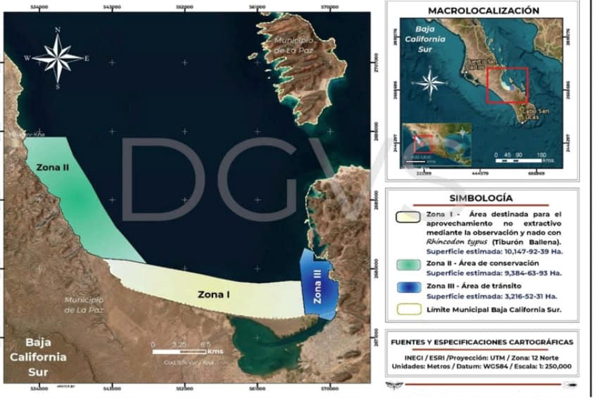 Semarnat zones for legally swimming with whale sharks in La Paz, Baja California Sur