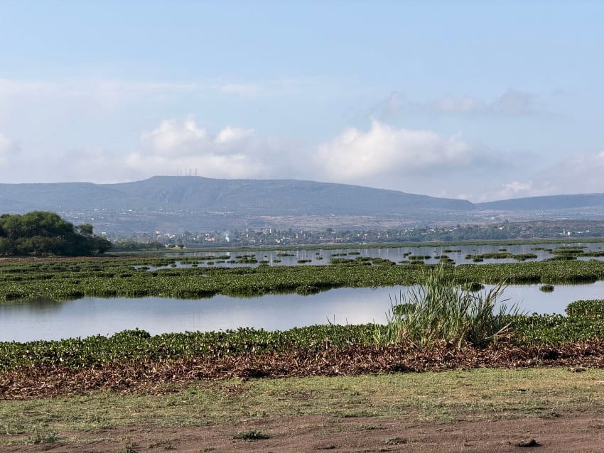 Presa Allende reservoir in San Miguel de Allende