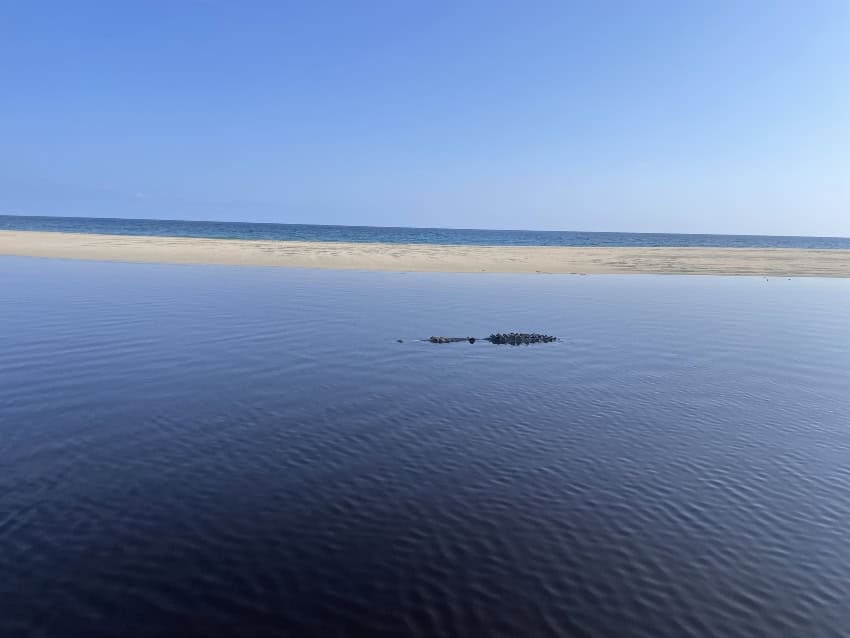 Lagoon near the Pacific Ocean, separated only by sandy beach, in La Ventanilla, Oaxaca