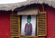 A senor frog on a sign in Cancun.