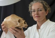Professor Vera Tiesler holding an ancient skull