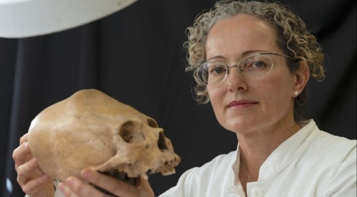 Professor Vera Tiesler holding an ancient skull