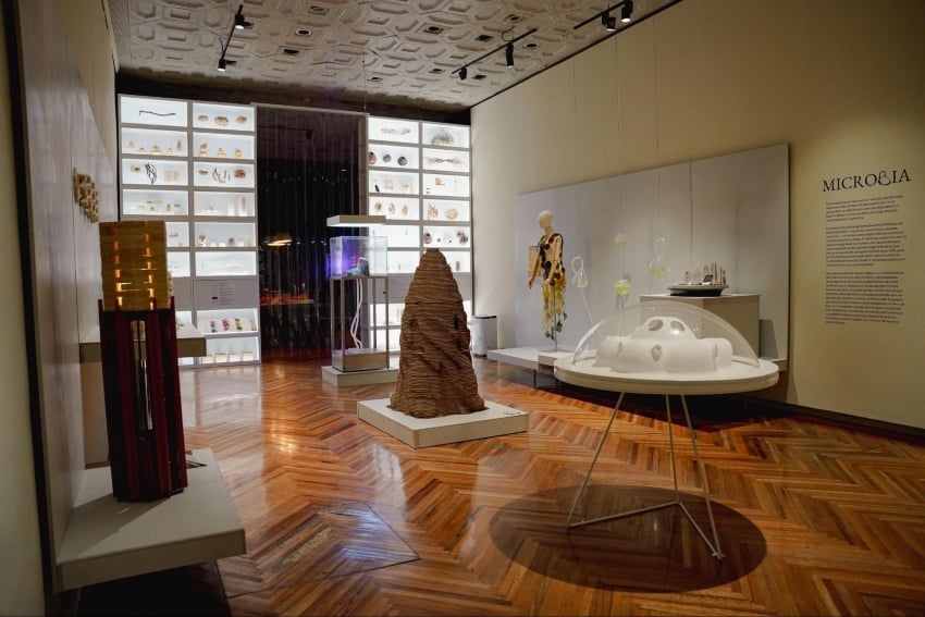 The Microbia Room at the Franz Mayer Museum