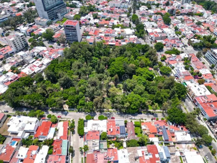 Providencia in Guadalajara aerial view of neighborhood