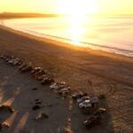 Aerial view of the rally convoy lined up along the beach at sunrise.