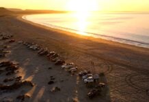 Aerial view of the rally convoy lined up along the beach at sunrise.