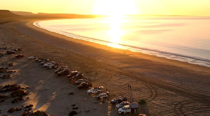Aerial view of the rally convoy lined up along the beach at sunrise.