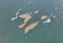 Mexico's navy has deployed 11 coastal sargassum collection vessels, each with a collection capacity of 20 tonnes; one offshore sargassum collection vessel; two amphibious sargassum collection vessels; 18 smaller boats; and 13,230 meters of containment barriers in Isla Mujeres, Benito Juárez, Puerto Morelos, Playa del Carmen, Cozumel, Tulum and Othón P. Blanco.