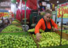 A woman arranges limes at a Mexican market display with price signs