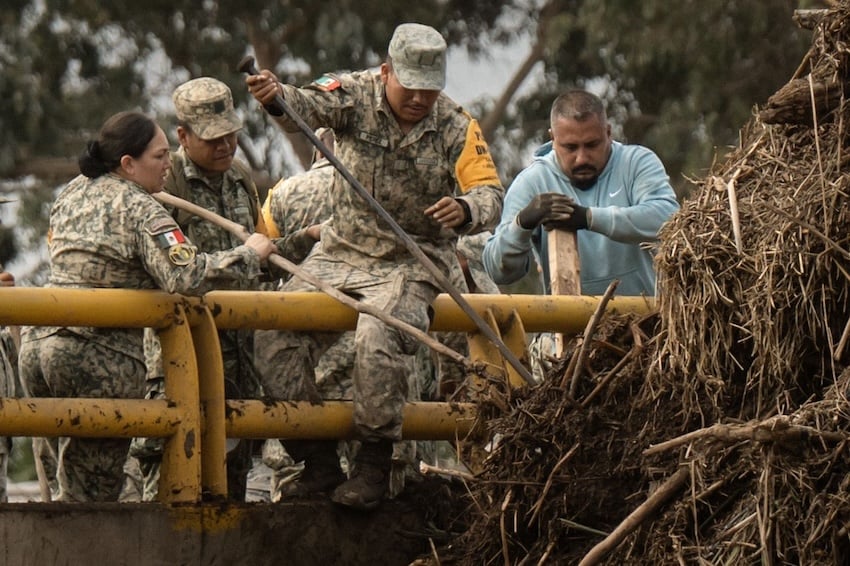 members of Mexico's security forces clear downed trees following Tropical Storm Rachel