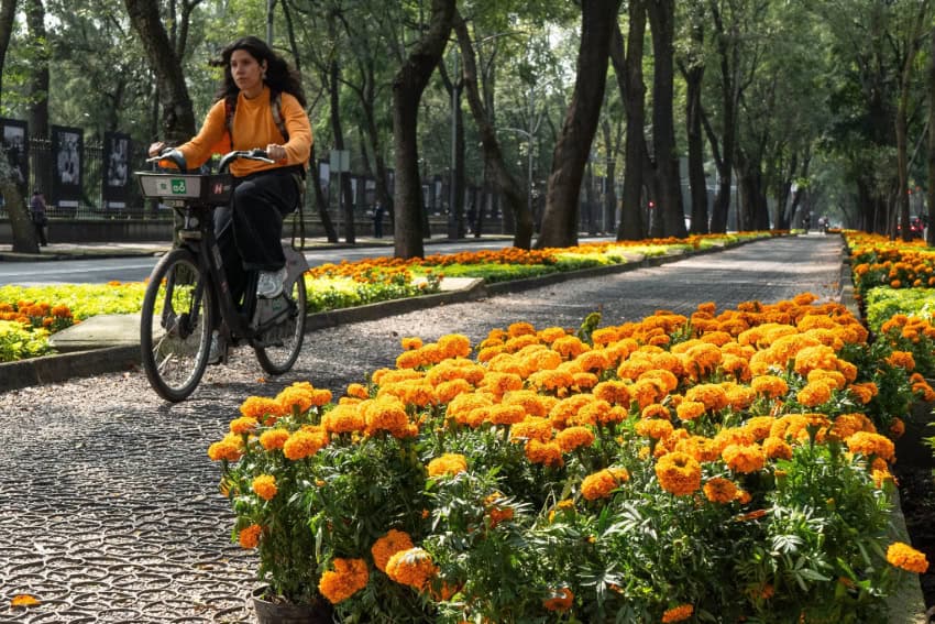 Guadalajara water protests, IMSS pay demands, Hurricane Trudy and U.S. tariff talks: Mexico's week in review, Oct. 11-17.