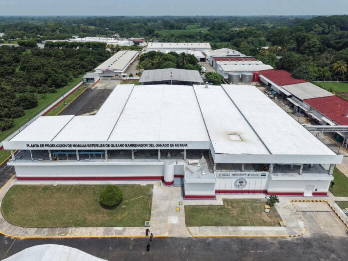 An industrial facility in a lush Chiapas forest with a sign reading 