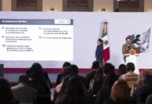 IMSS director Zoé Robledo