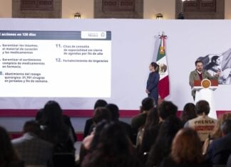 IMSS director Zoé Robledo