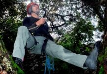 Arborist Juan Carlos Velázques Hueso climbing to saw off branches affected by el muérdago