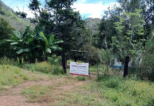 A cordoned-off home with palm trees in the hills of Nayarit