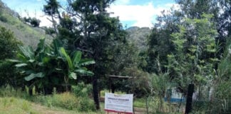 A cordoned-off home with palm trees in the hills of Nayarit