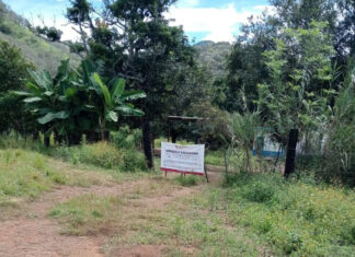 A cordoned-off home with palm trees in the hills of Nayarit
