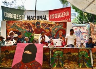A speaker addresses the 30th anniversary of the Indigenous Congress in Mexico City.