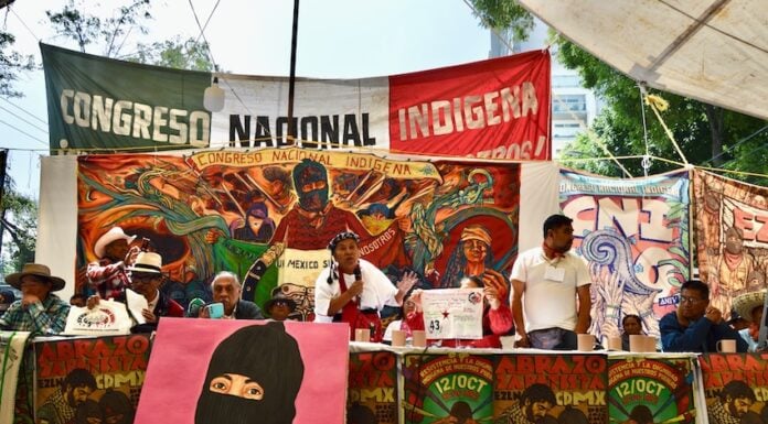 A speaker addresses the 30th anniversary of the Indigenous Congress in Mexico City.