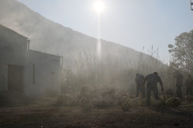 Dust and smoke haze fill the sky in front of the mezcal palenque