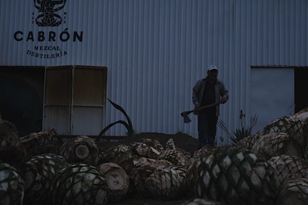 A man holding an axe in front of the agave hearts at Casa Cabron.