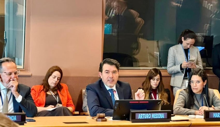 In his appearance before representatives of the United Nations on Friday, Mexico's Undersecretary of Human Rights, Population and Migration Arturo Medina revealed that a new expert group will review the national registry of missing persons, which activists called a simulation campaign.