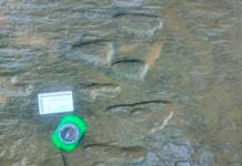 Dinosaur footprints in Michoacán