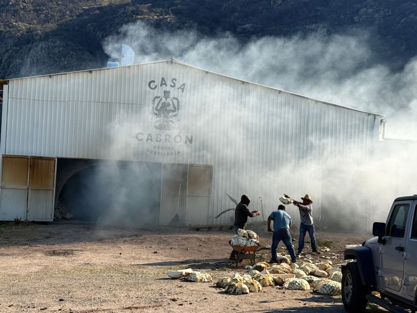 A group of workers throw agave hearst onto a wheelbarrow in front of the factory