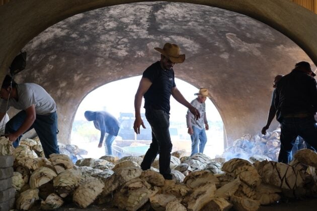 Five men walking through the agave hearts in a small chamber with an opening at the end.