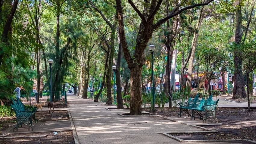 Benches on a pathway in Parque España in Mexico City